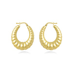 Shrimp Hollow Classic Hoop Earrings in 18k Yellow Gold